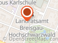 Geigenbauwerkstatt für Cello und Kontrabass Freiburg