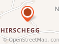 Kinesiologie am Tier