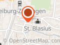 Zähringer Burgnarren Freiburg i.Br. e.V.