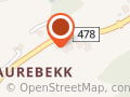 Inger Aurebekk