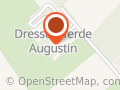 Dressurpferde Augustin