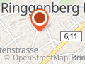 Qi Balance Tierenergetik