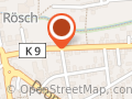 Rheinfreunde Bingen