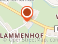 Disch Heinrich