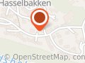 Ribe Holding AS