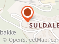 Lodottene ANS