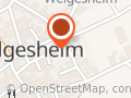 TSG 1913 Welgesheim Leichtathletikverein Bernhard Wasem