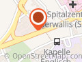 Zentralinstitut der Walliser Spitäler (ZIWS)
