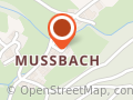 Hochzeitsfahrt - Freiburg