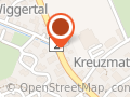 Waldispühl Restaurierung