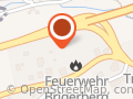 Hundeschule im Schilf