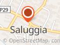 Comune di Saluggia (Demografici ed Elettorale)