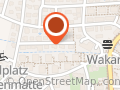 Wushu Akademie Schweiz