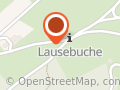 Lausebuche