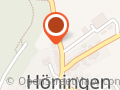Pferdesportverein Palatina Höningen e.V.