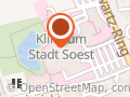 SoestVital