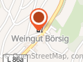 Börsig Winzerhof (Weingut)