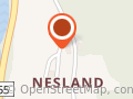 Knut Nesland