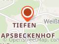 Baum Coaching Heilpraktikerin für Psychotherapie
