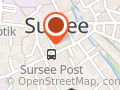 sursee immo ag