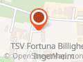 TSV Fortuna Billigheim- Ingenheim e. V.