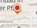 Platzhirschin