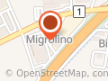 Auto Michi