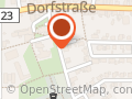Feuerquallen