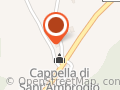 Le rose di Mapi