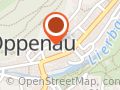 Narrenzunft Oppenauer Schlappgret e.V.