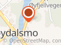Høydalsmo Taxi Oddbjørn Hagen