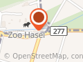 Zoo Hasel