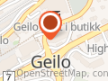 Kiwi Geilo