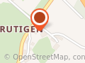 Auto Bühler