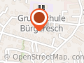 Regenwaldfrösche