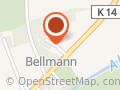 Herbert Bellmann