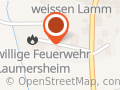 Turn- und Sportverein 1911 Laumersheim e. V.