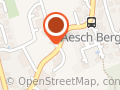 Lautsprecher Reparatur