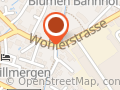 Holliger Paletten Logistik AG