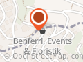 BENFERRI, Events & Floristik, Aline Bolliger