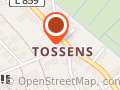 Werder-Fan-Club Tossens e.V.