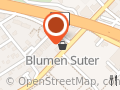 Blumen Suter