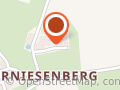 Youngvice Group GmbH
