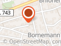 Kükenbande Meschede