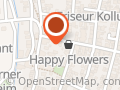 Happy Flowers Claudia Segerath