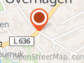 Bei Vigen