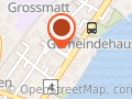 Schindler Holding AG