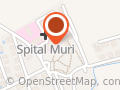 Spital Muri