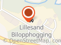 Lillesand Bilopphogging AS