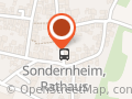 Hundeschule My Pawtner Germersheim